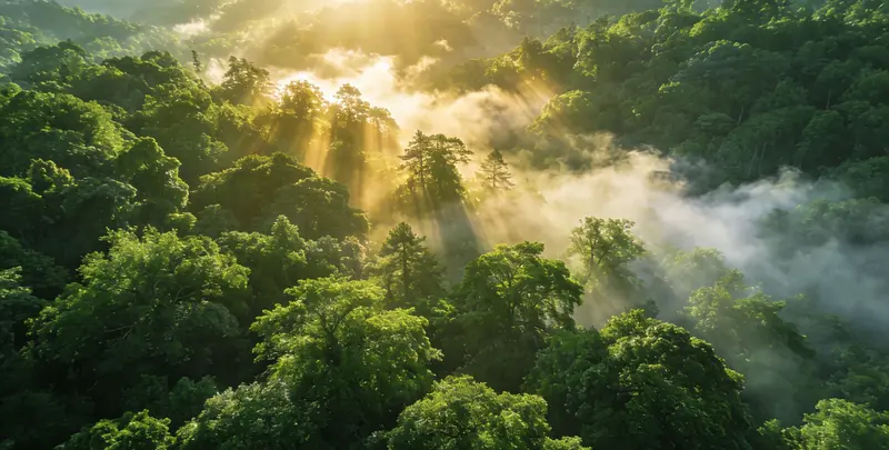 日喀则肺癌靶向39基因检测及PDL122C3表达检测套餐（组织）图片1